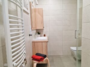 nowoczesna łazienka z prysznicem