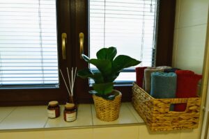 rośliny i ręczniki zwinięte w rulon