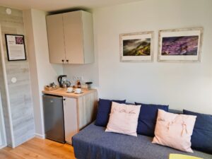 pokój z łóżkiem, lodówką i szafką, nad łóżkiem obrazy o tematyce górskiej